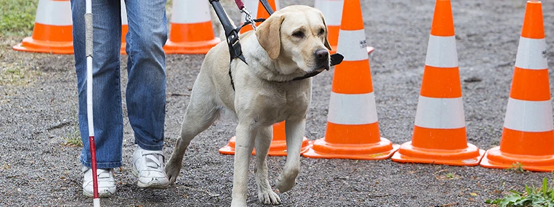 Team russia - masha katieva full