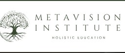 Metavision Institute